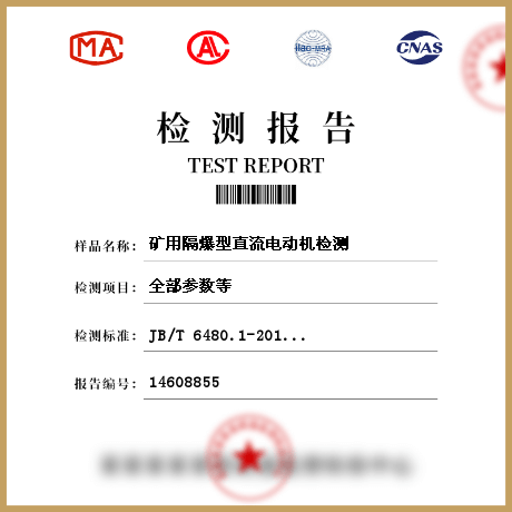 礦用隔爆型直流電動(dòng)機(jī)檢測