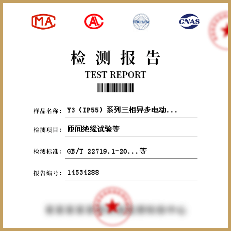 Y3（IP55）系列三相異步電動(dòng)機(jī)檢測